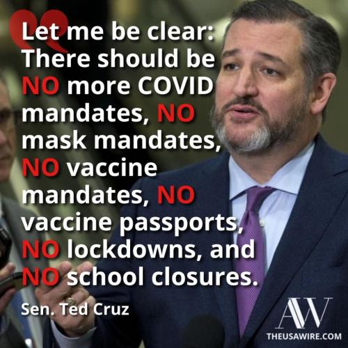 271802255_524009625930820_398653859237898432_n