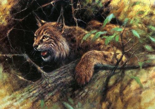 19:49:29 GMT-0600 (CST)