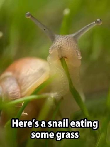 10:00:50 GMT-0600 (CST)