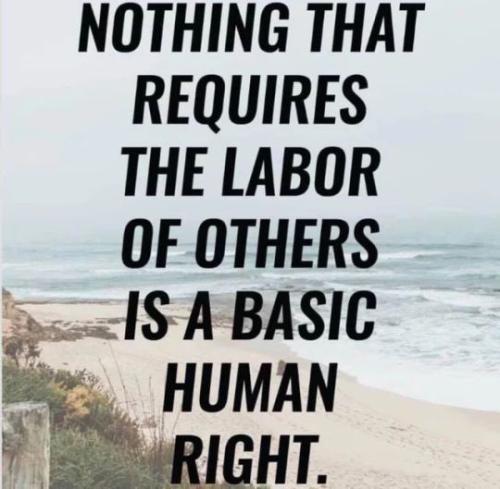 tumblr_9c2a3e4b7516f21eece9a28fee4cd3e9_fe6e60ea_540