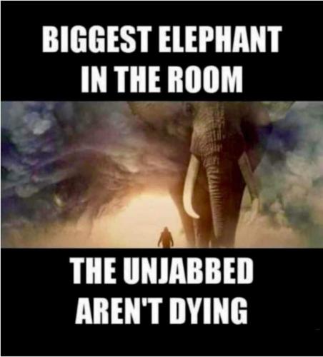 FB_IMG_1641941902890