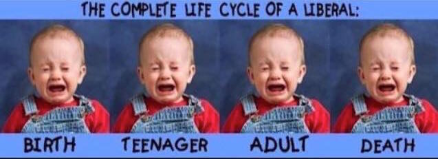 complete life cycle of a liberlal birth baby teenager adult death brat liberal