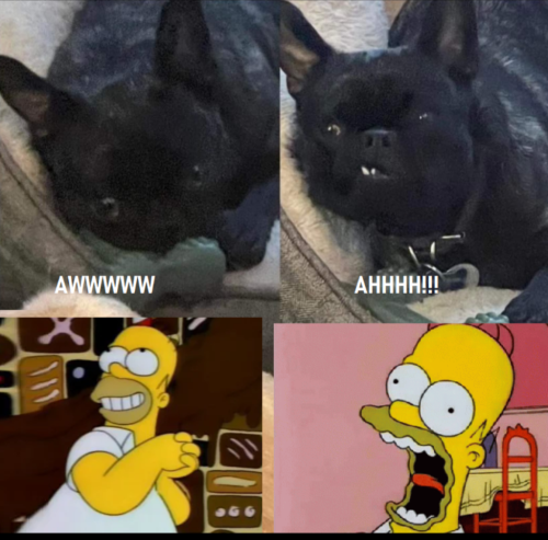 Screenshot_20220101-062555-901