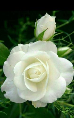 10:12:41 GMT-0600 (CST)