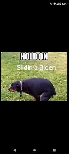 FB_IMG_1642236022571