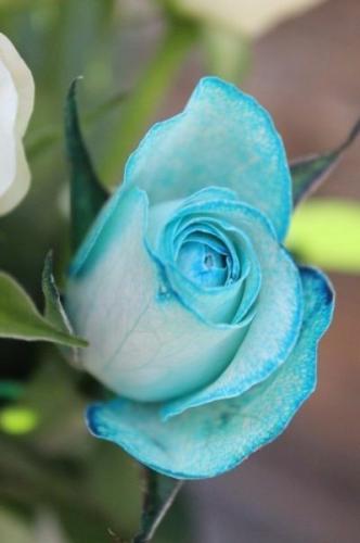 09:47:30 GMT-0600 (CST)