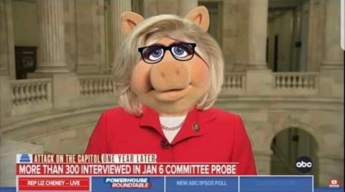 FB_IMG_1641504729884