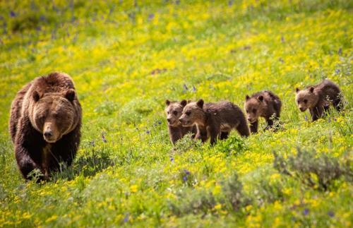 272893968_1755380857994590_942888422130395681_n