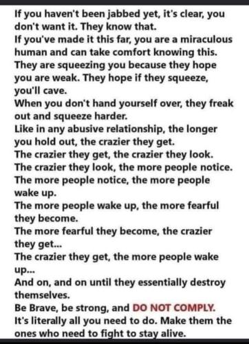 FB_IMG_1641763067133