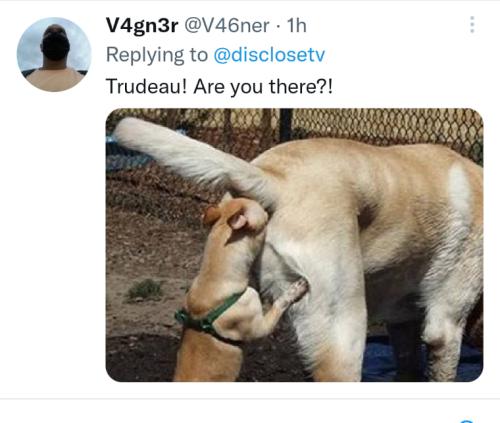 272912888_10159019284272607_6838296587128058933_n