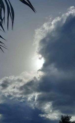 FB_IMG_1637601898937