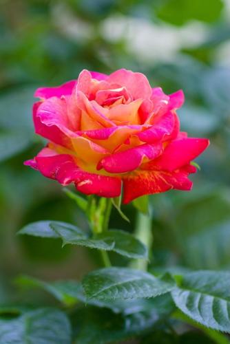 19:07:51 GMT-0600 (CST)