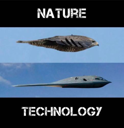 272836594_1050657305500991_783666763940106366_n