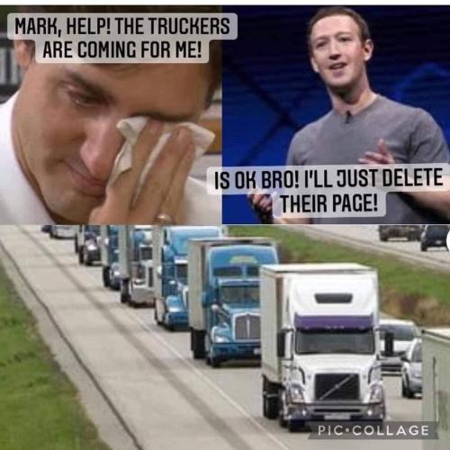 272819686_449816759836922_4700907392963008361_n