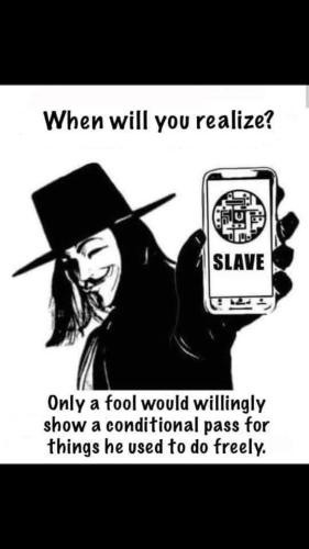 272805826_359658499493023_6612794027142690961_n