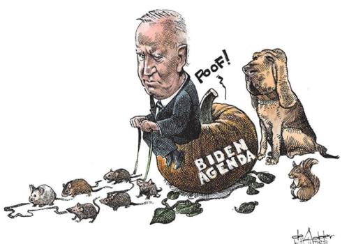 272684809_4914350361958934_4253453727113001268_n