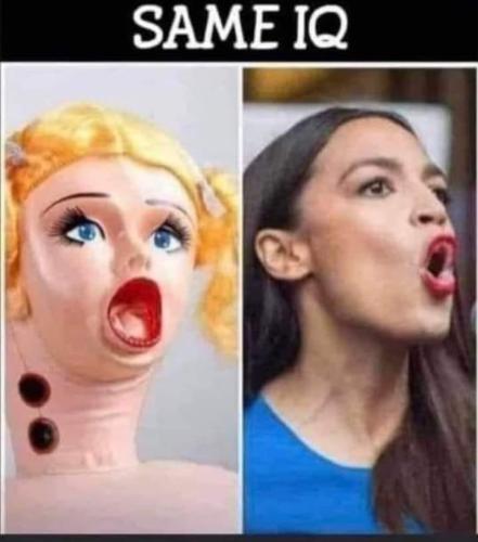 272066048_424097139469131_827160303017212590_n