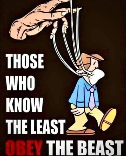 FB_IMG_1641967621622