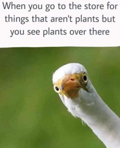 193251374_4383451105008110_6869676046270491806_n