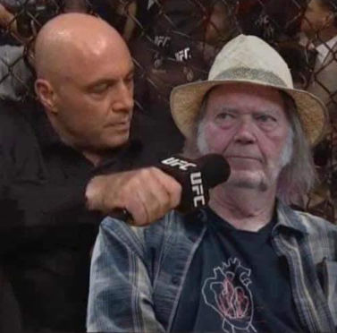neil young02