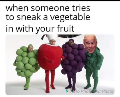 269610049_125815906608425_7233286610516399209_n