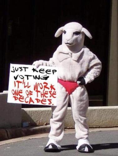 FB_IMG_1642193920418