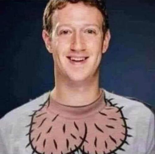 FB_IMG_1643219593874