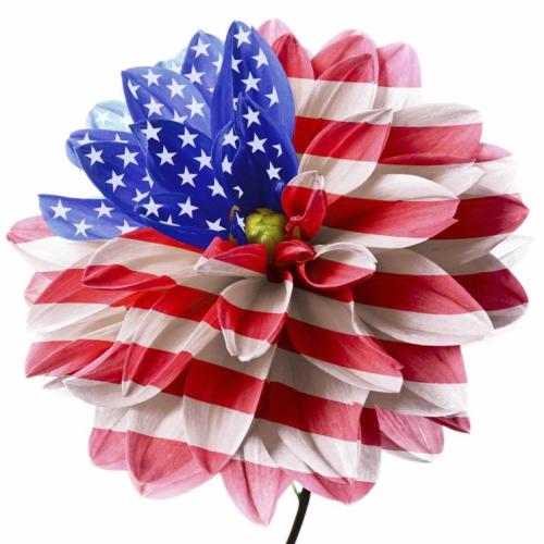 11:01:45 GMT-0600 (CST)