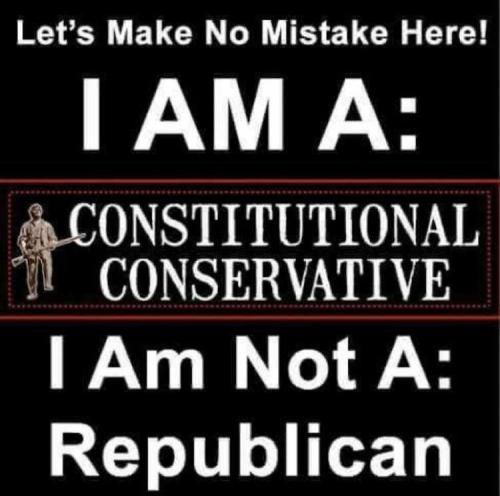 constitutional conservative