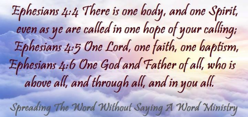 269794643_463539435348378_9315628487141140_n