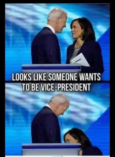 FB_IMG_1642185243255