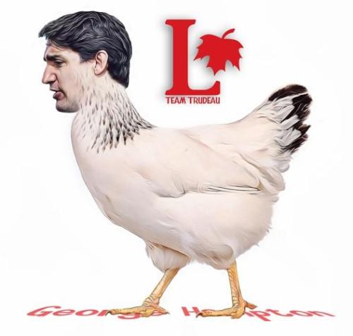 273045379_1300748870439012_4006272988559436030_n