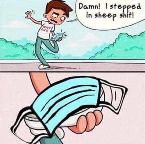 photo_2022-01-03_18-06-39