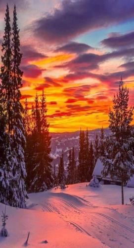 19:27:47 GMT-0600 (CST)