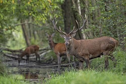 tumblr_083fd0e7ae8e1c8dd497eeb0e2bfb2d3_667ede4d_2048