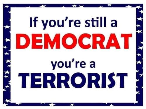 Democrat Terrorist 3