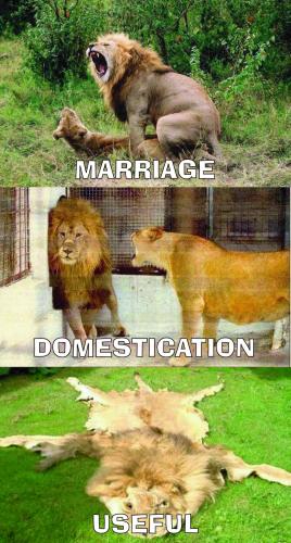 ThePurposeOfMarriage