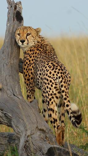 269743304_1741975602668449_3871542392583867934_n