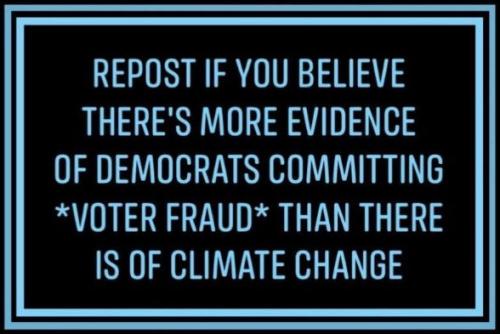 voterfraud262