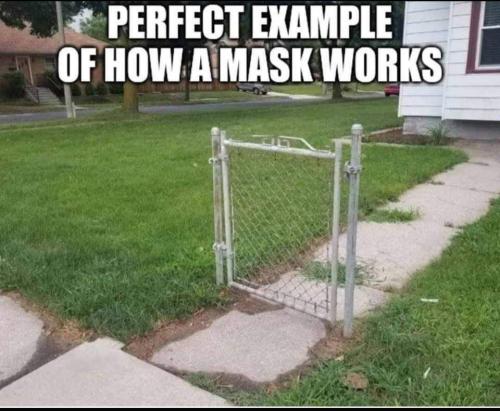 FB_IMG_1628712036316