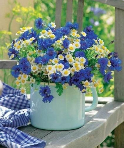 271241485_4682989261778978_2295153178708479036_n