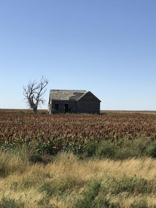 B7C2FEBB-332B-4DDF-B466-2665FFDD3447