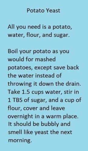 DIY Potato Yeast