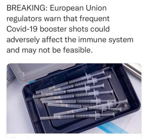 FB_IMG_1642252507741