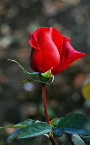 09:41:20 GMT-0600 (CST)