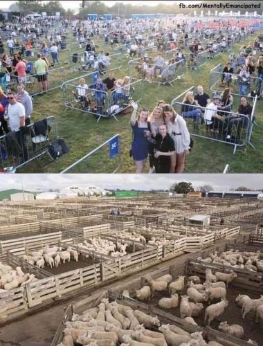 09:20:35 GMT-0700 (MST)