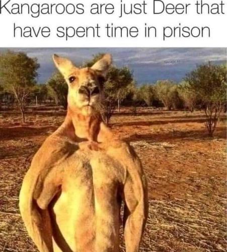FB_IMG_1642138647585
