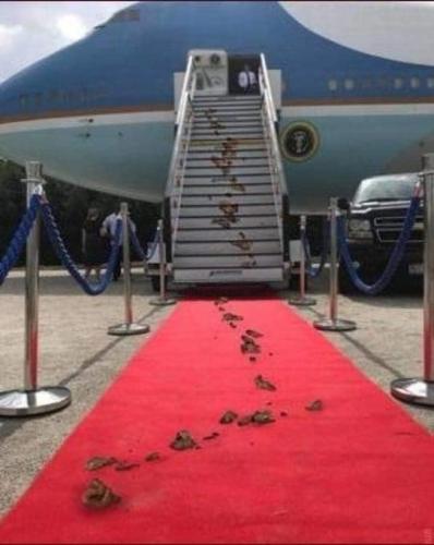 271224341_4509669812488579_779169429032267297_n