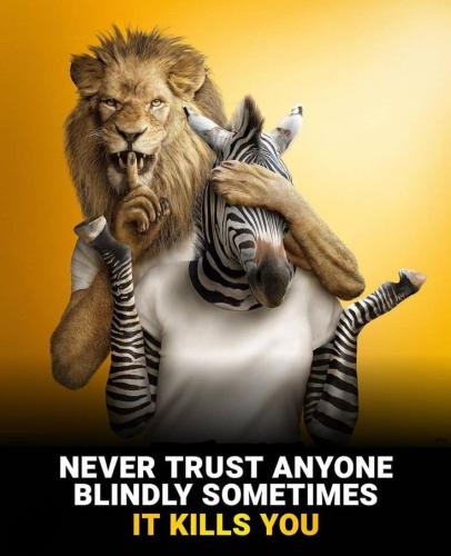 20:14:16 GMT-0600 (CST)