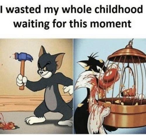 FB_IMG_1643488318454